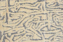 Evviena Indoor Natural Rug- Beige & Ivory