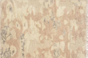 Franca Indoor Natural Rug